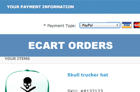eCart checkout orders (eCommerce Series)