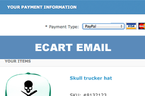 eCart checkout email (eCommerce Series)