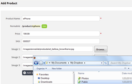 Add file fields to Data Bridge insert / update pages