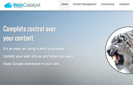 Web Catalyst